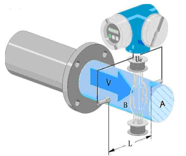 1691720483507213.jpg d5.jpg